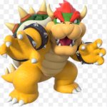 bowser