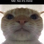 stand | Cashier: Can I take your order?
Me: No it's mine | image tagged in staring cat/gusic | made w/ Imgflip meme maker