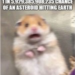 Society when asteroid | SOCIETY WHEN THERE'S A 1 IN 5,929,385,908,235 CHANCE OF AN ASTEROID HITTING EARTH | image tagged in scared hamster,society if,asteroid | made w/ Imgflip meme maker