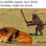 Drunken Ass Monkey pt 2