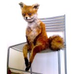 Puppet fox