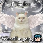Cat Angel | I'll be fine; Where I'm going👼🏻 | image tagged in cat angel | made w/ Imgflip meme maker
