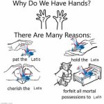 must love latii | Latis; Latis; Latis; Latis | image tagged in why do we have hands all blank | made w/ Imgflip meme maker
