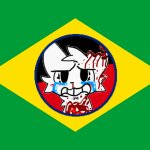 Brazilian anti boykisser flag