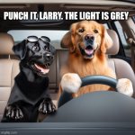 The light is grey | PUNCH IT, LARRY. THE LIGHT IS GREY | image tagged in 2 cute dogs driving a car | made w/ Imgflip meme maker