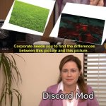 The Grass looks really deadly... for Discord Mod. | Discord Mod | image tagged in they are the same picture,memes,discord mod,grass | made w/ Imgflip meme maker