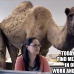 Philosophy office camel | TODAY, WE FIND MEANING IN OUR WORK AND LAUGH. | image tagged in camel,philosophy,hump day,laughter,memes,work life | made w/ Imgflip meme maker