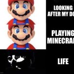 So true | LOOKING AFTER MY DOG; PLAYING MINECRAFT; LIFE | image tagged in mario dark three panel | made w/ Imgflip meme maker