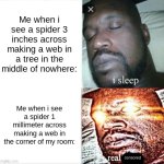 me when spider | Me when i see a spider 3 inches across making a web in a tree in the middle of nowhere:; Me when i see a spider 1 millimeter across making a web in the corner of my room:; censored | image tagged in memes,sleeping shaq,spider,spiders,arachnophobia,oh wow are you actually reading these tags | made w/ Imgflip meme maker