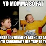Yo Momma So Fat | YO MOMMA SO FAT; THREE GOVERNMENT AGENCIES ARE NEEDED TO COORDINATE HER TRIP TO THE MALL | image tagged in yo momma so fat | made w/ Imgflip meme maker
