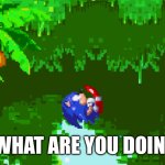 Angel island | MARIO WHAT ARE YOU DOING HERE | image tagged in angel island | made w/ Imgflip meme maker