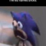 Traumatised Sonic | OK class we're going to use bricks
The kid named bricks: | image tagged in traumatised sonic | made w/ Imgflip meme maker