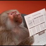 Baboon Reading Newspaper GIF Template