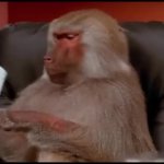 Baboon Eats the Quarterly Report GIF Template