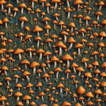 Field of Orange Mushrooms