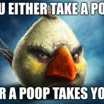 Realistic Angry Bird (Mathilda) | YOU EITHER TAKE A POOP; OR A POOP TAKES YOU | image tagged in realistic angry bird mathilda | made w/ Imgflip meme maker