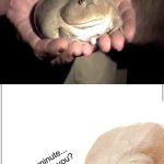 What did he eat? A McChicken grilled sandwich?! | Wait a minute...
Dad, is that you? | image tagged in memes,thicc,frog,dank,daily dose of frog memes | made w/ Imgflip meme maker