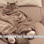 plans for the weekend | MY PLANS FOR THIS HEALING WEEKEND | image tagged in plans for the weekend | made w/ Imgflip meme maker