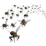 Swarm of flying flies