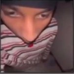Bovid