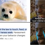 Everyone thinks baby seals are cute but unfortunately... | Awww, he so cute! I just wanna cuddle him. | image tagged in disappointed black guy,animals,cute animals,seals | made w/ Imgflip meme maker