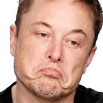 Elon Don't Care