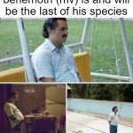 sad moment | behemoth (mv) is and will be the last of his species | image tagged in memes,sad pablo escobar | made w/ Imgflip meme maker