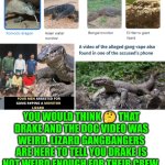 Funny | YOU WOULD THINK 🤔 THAT DRAKE AND THE DOG VIDEO WAS WEIRD. LIZARD GANGBANGERS ARE HERE TO TELL YOU DRAKE IS NOT WEIRD ENOUGH FOR THEIR CREW. | image tagged in funny,lizard,india,deviantart,freedom,sex | made w/ Imgflip meme maker