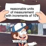 100 cm per metre? NAHH 12 INCHES TO A FOOT, 3 FEET TO A YARD YIPPEE | reasonable units of measurement with increments of 10's; 'MURICANS | image tagged in gravity falls meme,measurements,'murica | made w/ Imgflip meme maker