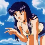 Misato polaroid template