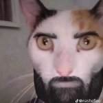 CatChad