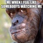 bombastic side eye | ME WHEN I FEAL LIKE SOMEBODY'S WATCHING ME | image tagged in bombastic side eye | made w/ Imgflip meme maker