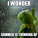 Kermit the frog | I WONDER; IF THE SUMMER IS THINKING OF ME TO | image tagged in kermit window | made w/ Imgflip meme maker