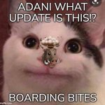 Adani Boarding Bites Meme Template With Beluga Cat & Boar Head Exploding | ADANI WHAT UPDATE IS THIS!? BOARDING BITES | image tagged in beluga cat,emoji,welcome aboard | made w/ Imgflip meme maker