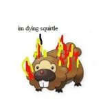 dying squirtle