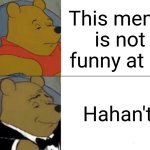 E | This meme is not funny at all; Hahan't | image tagged in memes,tuxedo winnie the pooh,funny,haha,funny memes | made w/ Imgflip meme maker