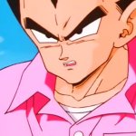 Vegeta pink shirt