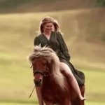 Horse gif GIF Template