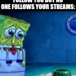 Gary Come Home | WHEN LOTS OF PEOPLE FOLLOW YOU BUT NO ONE FOLLOWS YOUR STREAMS: | image tagged in gary come home | made w/ Imgflip meme maker