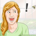 wikihow scary wasp