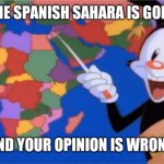 When someone says that the Spanish Sahara still exists: | image tagged in yakko opinion is wrong | made w/ Imgflip meme maker