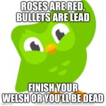 Duolingo memes | ROSES ARE RED, BULLETS ARE LEAD; FINISH YOUR WELSH OR YOU’LL BE DEAD | image tagged in duolingo memes,fun,funny,bird | made w/ Imgflip meme maker