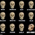 It's the zoophiles you gotta look out for, not the furries. | ANTI-FURRY | image tagged in idiot skull,furry,anti furry,funny | made w/ Imgflip meme maker
