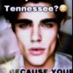 Are you from Tennessee meme