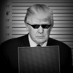 Trump, a convicted felon for president meme