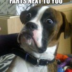 when someone farts | WHEN SOMEONE FARTS NEXT TO YOU; YOU | image tagged in blankie the shocked dog,funny,goofy ahh | made w/ Imgflip meme maker