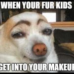 fur kids | WHEN YOUR FUR KIDS; GET INTO YOUR MAKEUP | image tagged in how you doin' | made w/ Imgflip meme maker