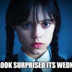 Dont look surprised its wednesday | DONT LOOK SURPRISED ITS WEDNESDAY | image tagged in wednesday addams,work,wednesday,it is wednesday my dudes,jenna ortega | made w/ Imgflip meme maker