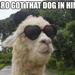 Bro got that dog in him | BRO GOT THAT DOG IN HIM | image tagged in cool llama,memes | made w/ Imgflip meme maker