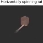 spinning rat GIF Template